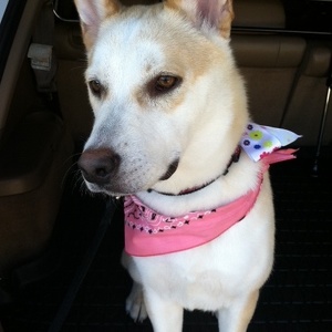 Fundraising Page: Camille Martin